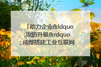 助力企业“攻防升级” 成都搭建工业互联网安全供需对接平台