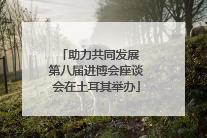 助力共同发展 第八届进博会座谈会在土耳其举办