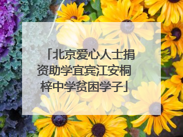 北京爱心人士捐资助学宜宾江安桐梓中学贫困学子