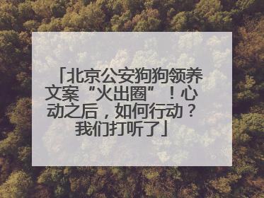 北京公安狗狗领养文案“火出圈”！心动之后，如何行动？我们打听了