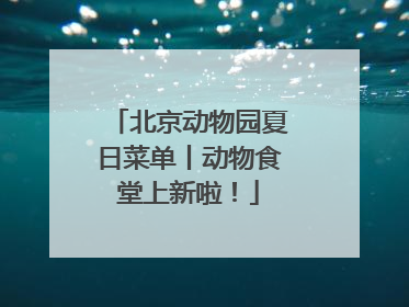 北京动物园夏日菜单丨动物食堂上新啦！