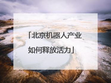 北京机器人产业如何释放活力