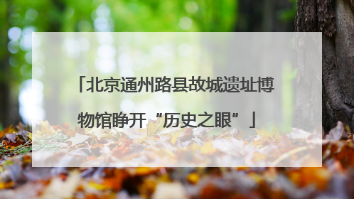 北京通州路县故城遗址博物馆睁开“历史之眼”