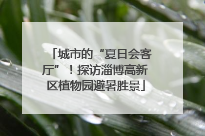 城市的“夏日会客厅”！探访淄博高新区植物园避暑胜景