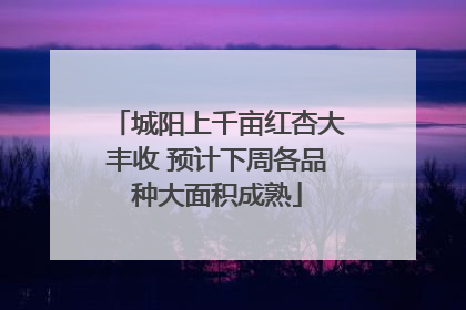城阳上千亩红杏大丰收 预计下周各品种大面积成熟