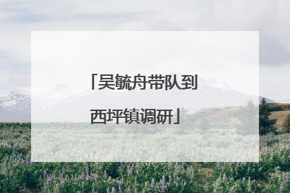 吴毓舟带队到西坪镇调研