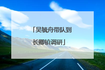 吴毓舟带队到长卿镇调研