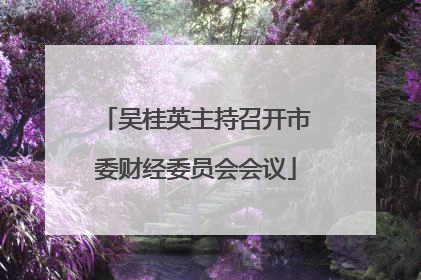吴桂英主持召开市委财经委员会会议