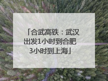 合武高铁：武汉出发1小时到合肥3小时到上海