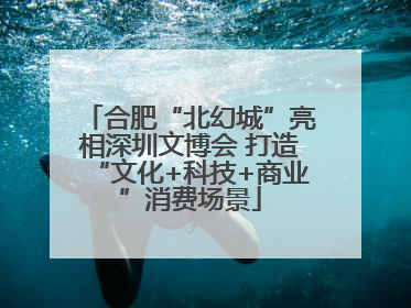 合肥“北幻城”亮相深圳文博会 打造“文化+科技+商业”消费场景