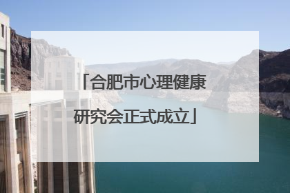 合肥市心理健康研究会正式成立
