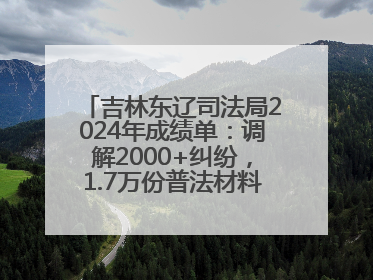 吉林东辽司法局2024年成绩单：调解2000+纠纷，1.7万份普法材料飞入百姓家！