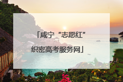 咸宁“志愿红”织密高考服务网