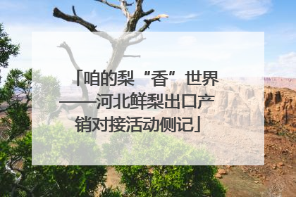 咱的梨“香”世界——河北鲜梨出口产销对接活动侧记