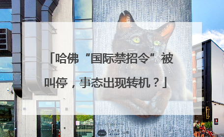哈佛“国际禁招令”被叫停，事态出现转机？