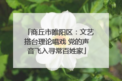 商丘市睢阳区：文艺搭台理论唱戏 党的声音飞入寻常百姓家