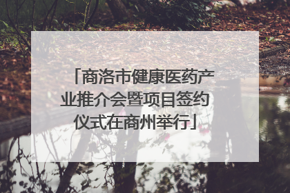 商洛市健康医药产业推介会暨项目签约仪式在商州举行
