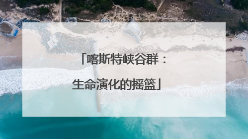 喀斯特峡谷群：生命演化的摇篮