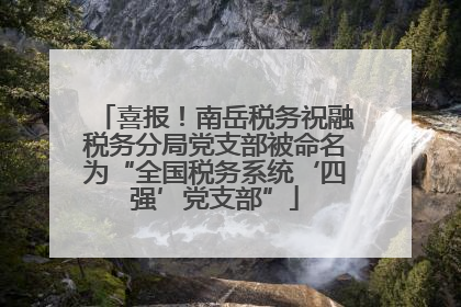 喜报！南岳税务祝融税务分局党支部被命名为“全国税务系统‘四强’党支部”