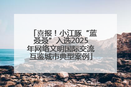 喜报！小江豚“蓝叒叒”入选2025年网络文明国际交流互鉴城市典型案例
