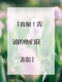 喜报！青浦的他们获表彰