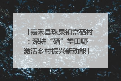 嘉禾县珠泉镇富硒村：深耕“硒”望田野 激活乡村振兴新动能