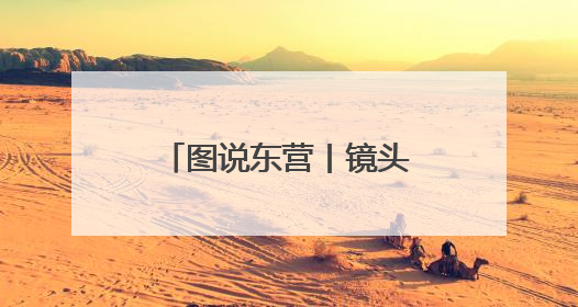 图说东营丨镜头里的文明切片，拼成城市心跳