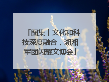 图集丨文化和科技深度融合，湖湘军团闪耀文博会