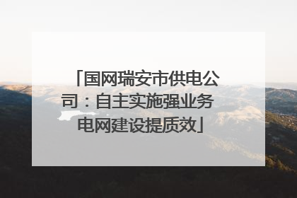 国网瑞安市供电公司：自主实施强业务 电网建设提质效