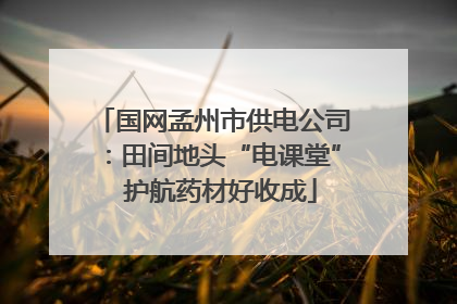 国网孟州市供电公司：田间地头“电课堂”  护航药材好收成