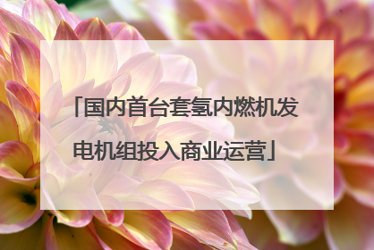 国内首台套氢内燃机发电机组投入商业运营