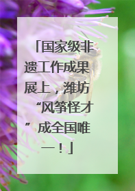 国家级非遗工作成果展上，潍坊“风筝怪才”成全国唯一！