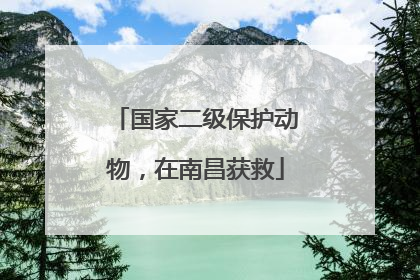 国家二级保护动物，在南昌获救