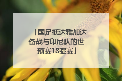 国足抵达雅加达备战与印尼队的世预赛18强赛
