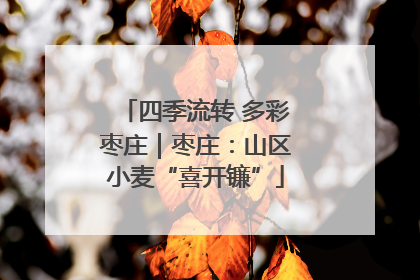 四季流转 多彩枣庄｜枣庄：山区小麦“喜开镰”