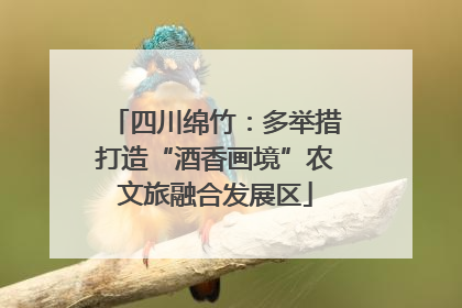 四川绵竹：多举措打造“酒香画境”农文旅融合发展区