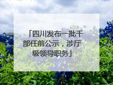 四川发布一批干部任前公示，涉厅级领导职务