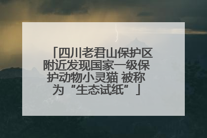 四川老君山保护区附近发现国家一级保护动物小灵猫 被称为“生态试纸”