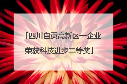 四川自贡高新区一企业荣获科技进步二等奖