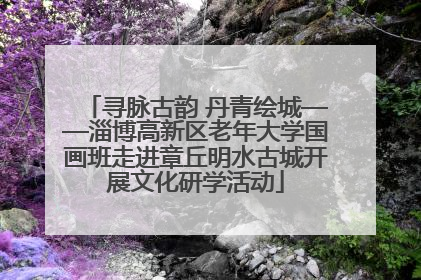 寻脉古韵 丹青绘城——淄博高新区老年大学国画班走进章丘明水古城开展文化研学活动