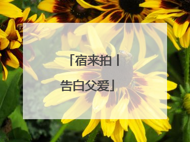 宿来拍丨告白父爱