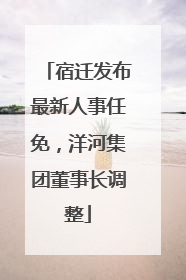 宿迁发布最新人事任免，洋河集团董事长调整