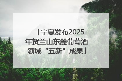 宁夏发布2025年贺兰山东麓葡萄酒领域“五新”成果