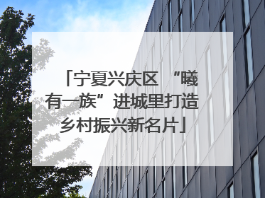 宁夏兴庆区 “曦有一族”进城里打造乡村振兴新名片
