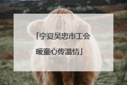 宁夏吴忠市工会暖童心传温情