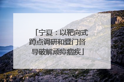 宁夏：以靶向式蹲点调研和登门督导破解顽瘴痼疾