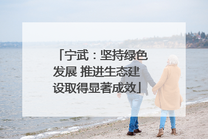 宁武：坚持绿色发展 推进生态建设取得显著成效