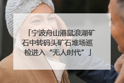 宁波舟山港鼠浪湖矿石中转码头矿石堆场巡检进入“无人时代”