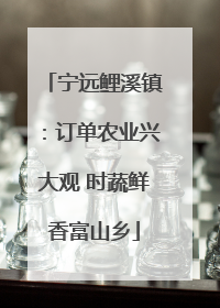 宁远鲤溪镇：订单农业兴大观 时蔬鲜香富山乡