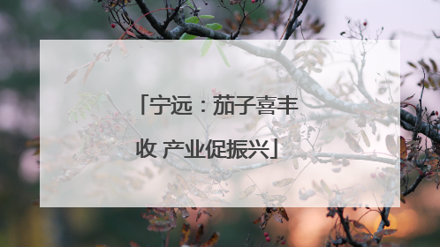宁远：茄子喜丰收 产业促振兴